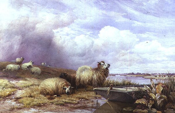 Uma Paisagem com Ovelhas e barco de Thomas Francis Wainewright