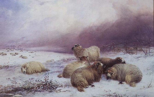 Uma Paisagem de Inverno com Ovelhas de Thomas Francis Wainewright