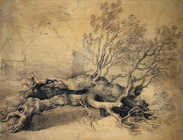 Uma Árvore Caída com Prédios de Fazenda no Além (lápis sobre papel) de Thomas Gainsborough