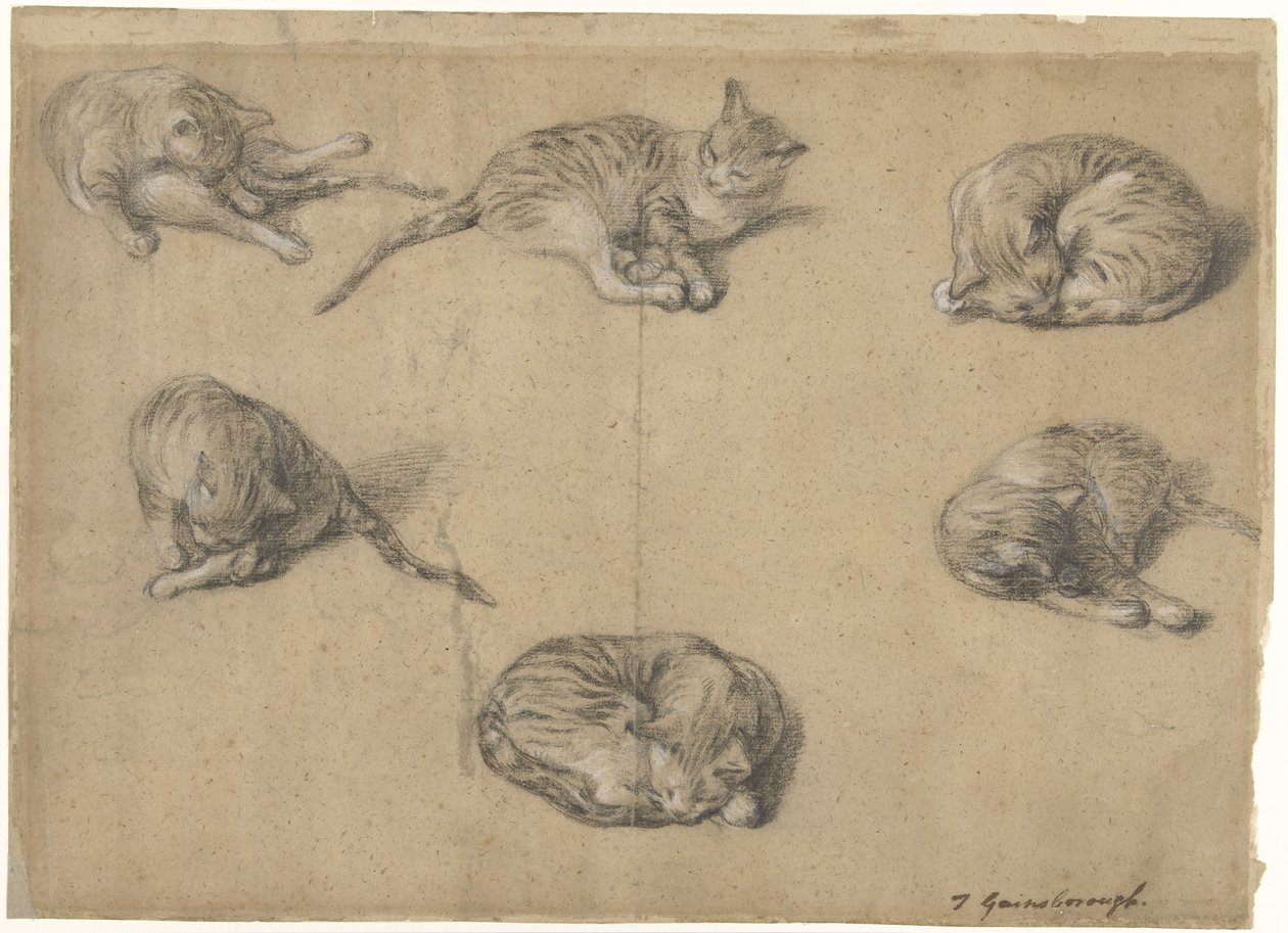 Seis estudos de um gato de Thomas Gainsborough
