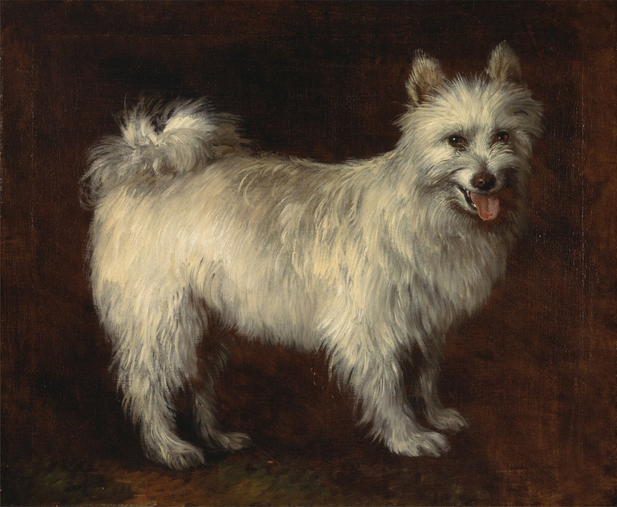 Cão Spitz de Thomas Gainsborough