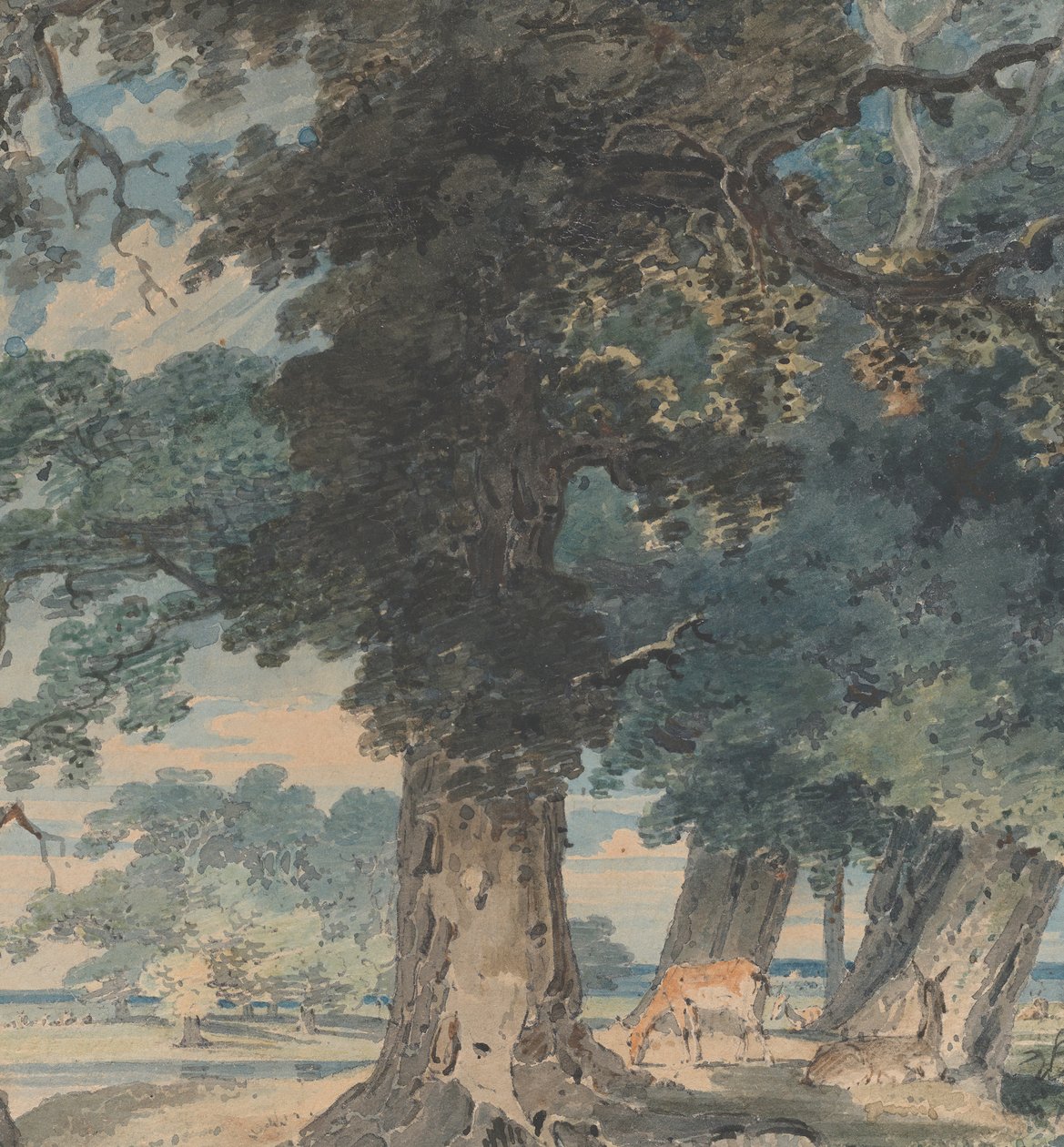 Cervos na Floresta de Windsor, 1793-94. de Thomas Girtin