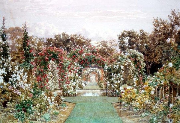 Crimson Rambler no Clandon Park de Thomas H. Hunn