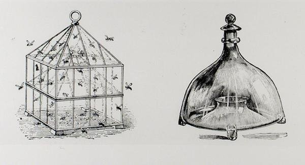 Wasp and fly traps, de Thomas Mawson 