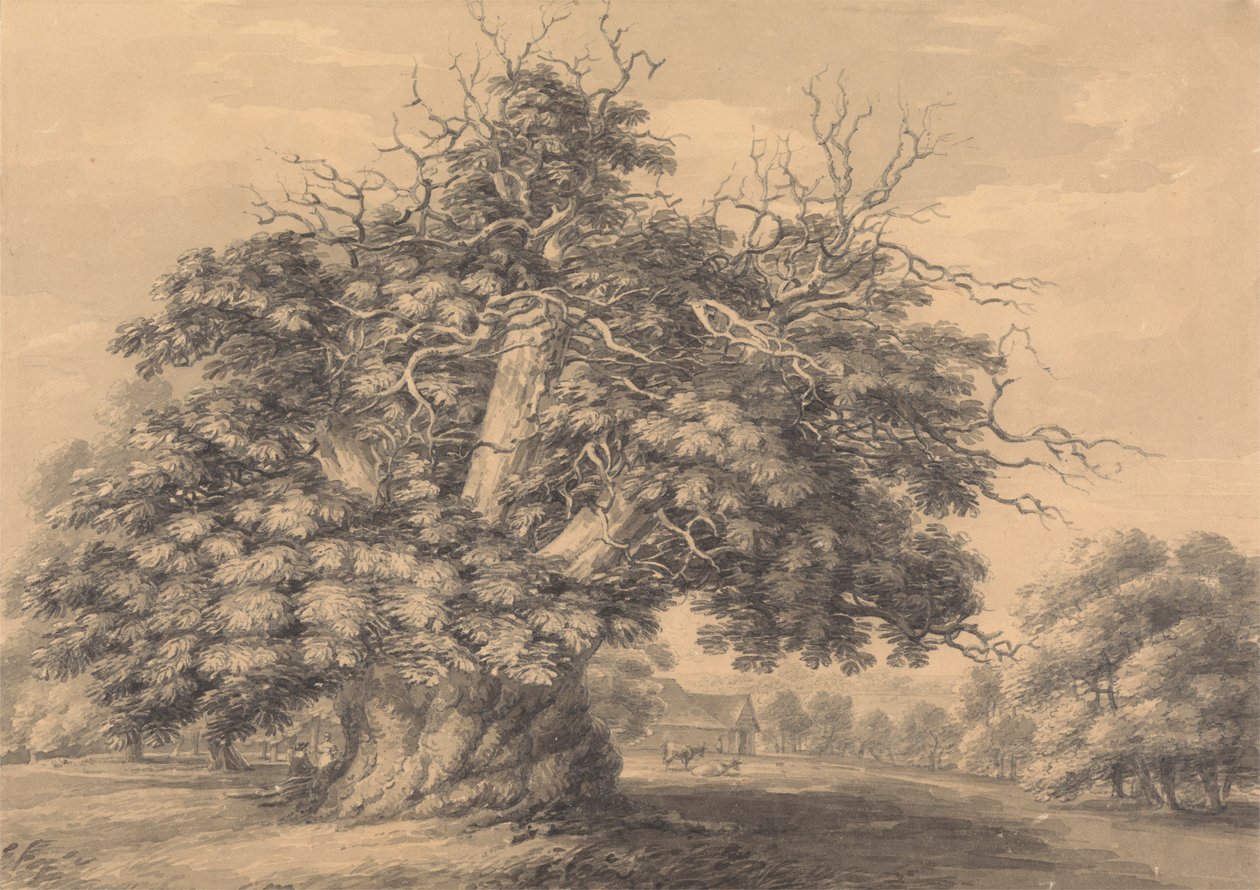 A Castanheira em Little Wymondley, Hertfordshire de Thomas Hearne