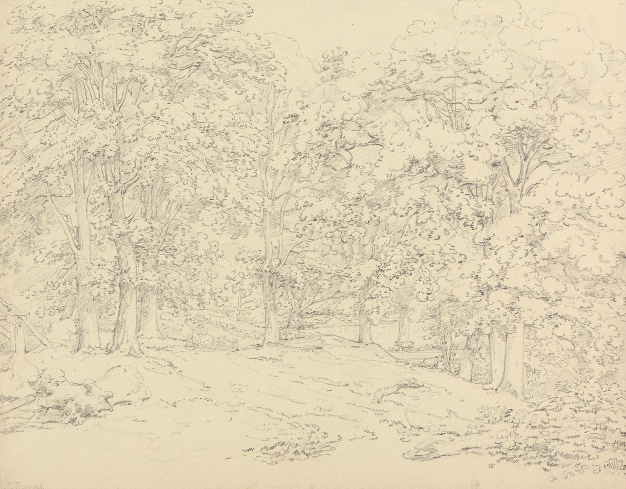 Árvores em Ashtead Park, Surrey de Thomas Hearne