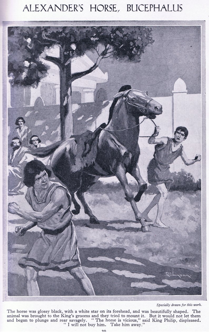 O cavalo de Alexandre, Bucéfalo: o cavalo era preto brilhante com uma estrela branca na testa, c.1950 (litografia) de Thomas Heath Robinson