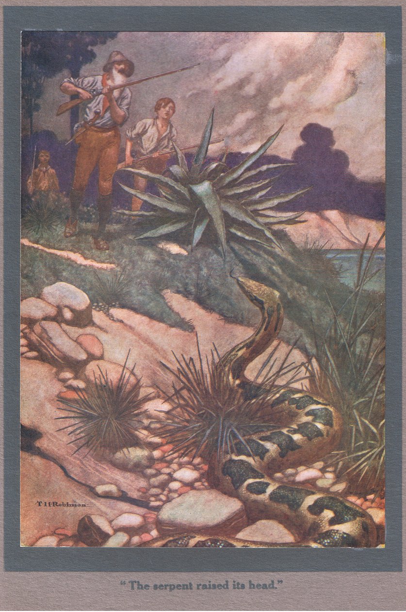 A serpente levantou a cabeça (litografia a cores) de Thomas Heath Robinson
