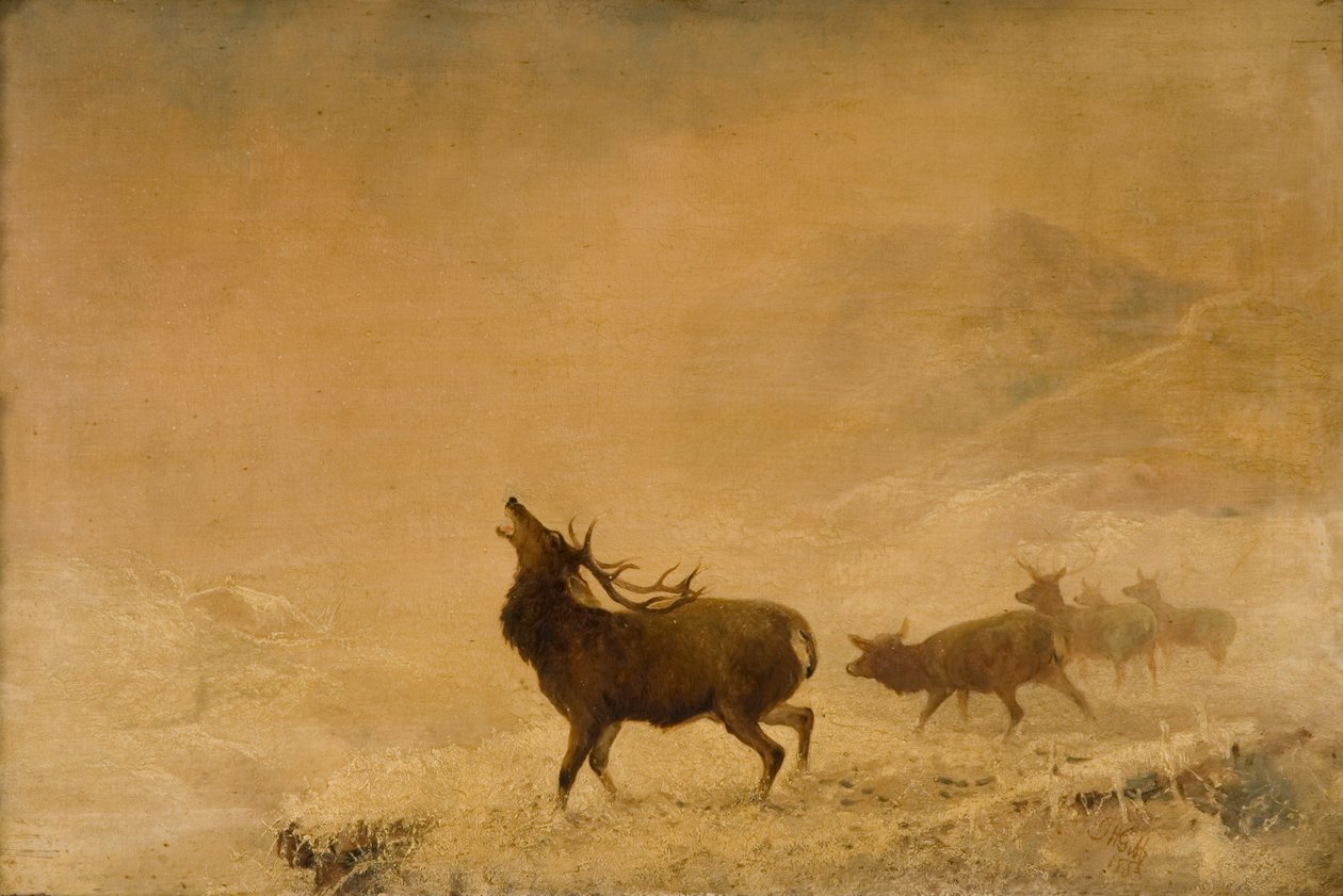 Assim distante, 1883 de Thomas Henry Gibb