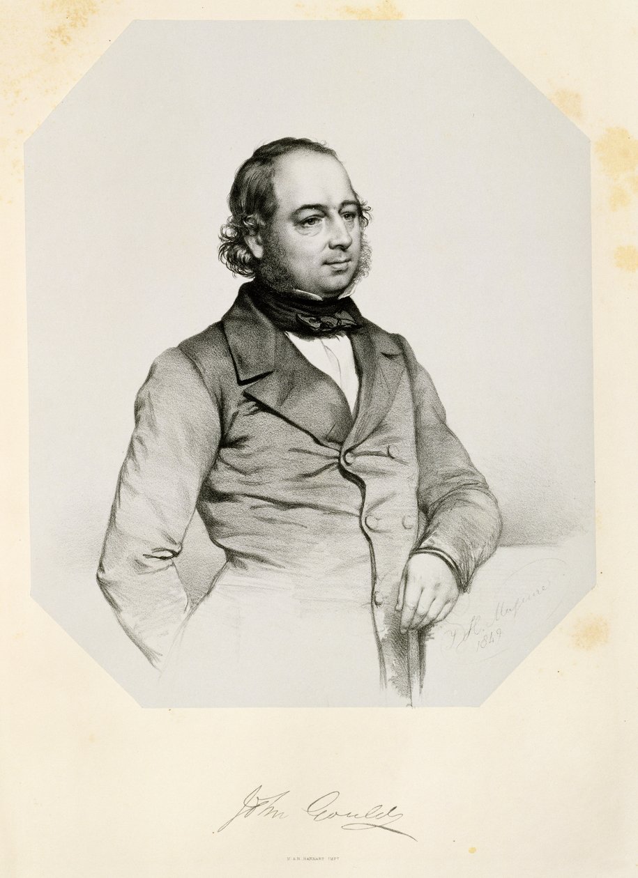 John Gould (1804-1881) 1849 de Thomas Herbert Maguire