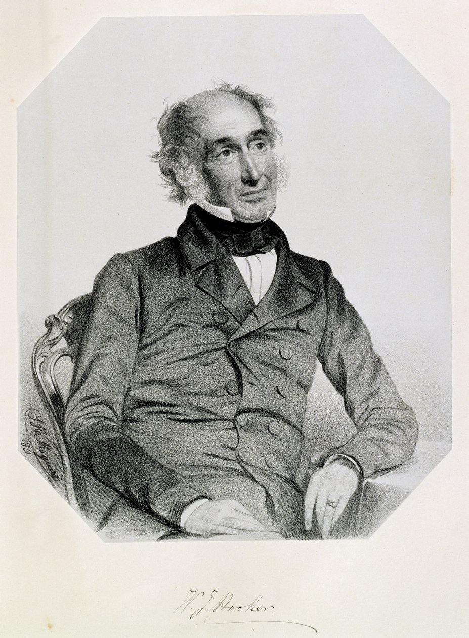 Sir William Jackson Hooker (1785-1865) 1851 de Thomas Herbert Maguire