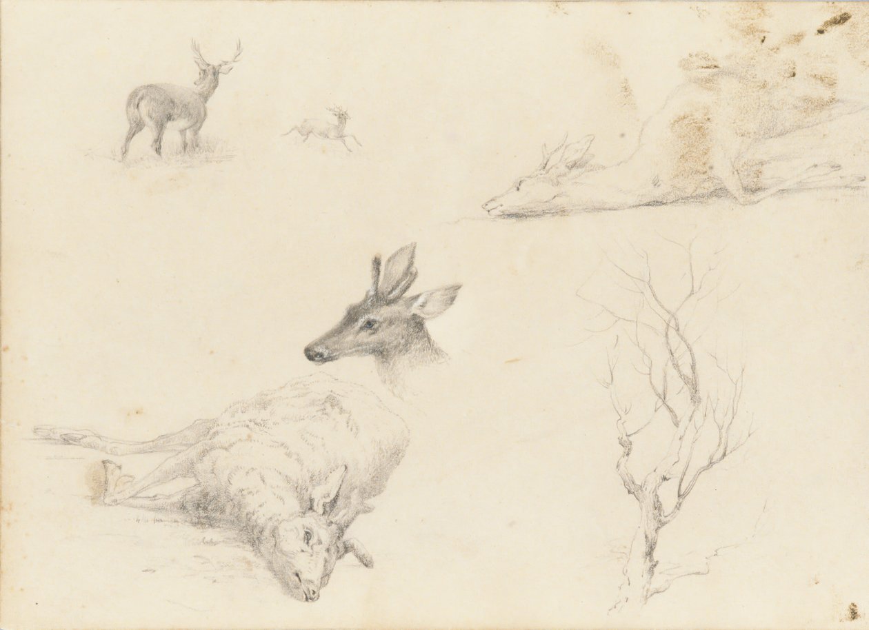 Caderno de esboços de paisagens e animais, 1860-64. de Thomas Hewes Hinckley