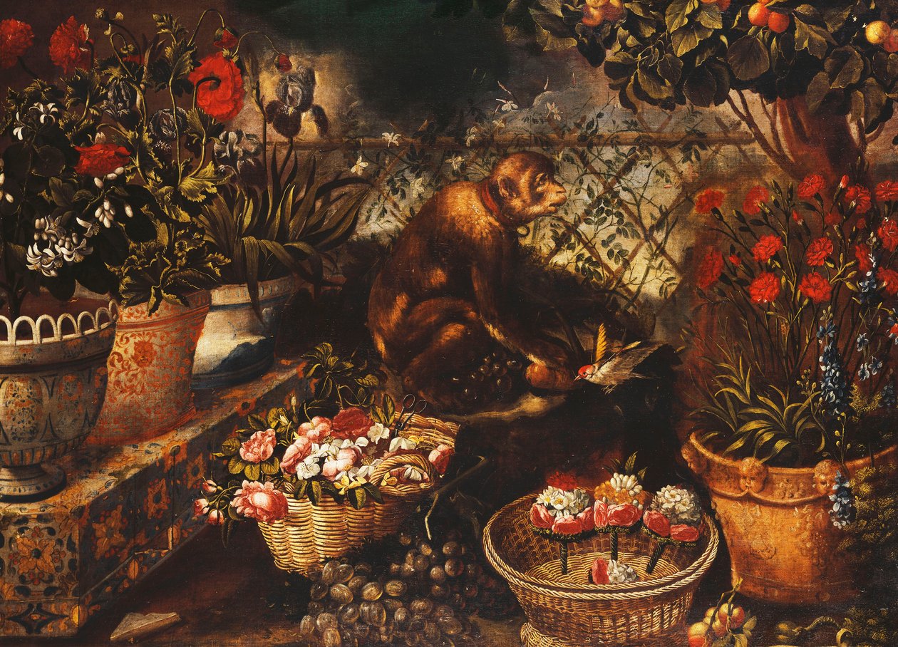 Um macaco em um jardim cercado, de Thomas Hiepes