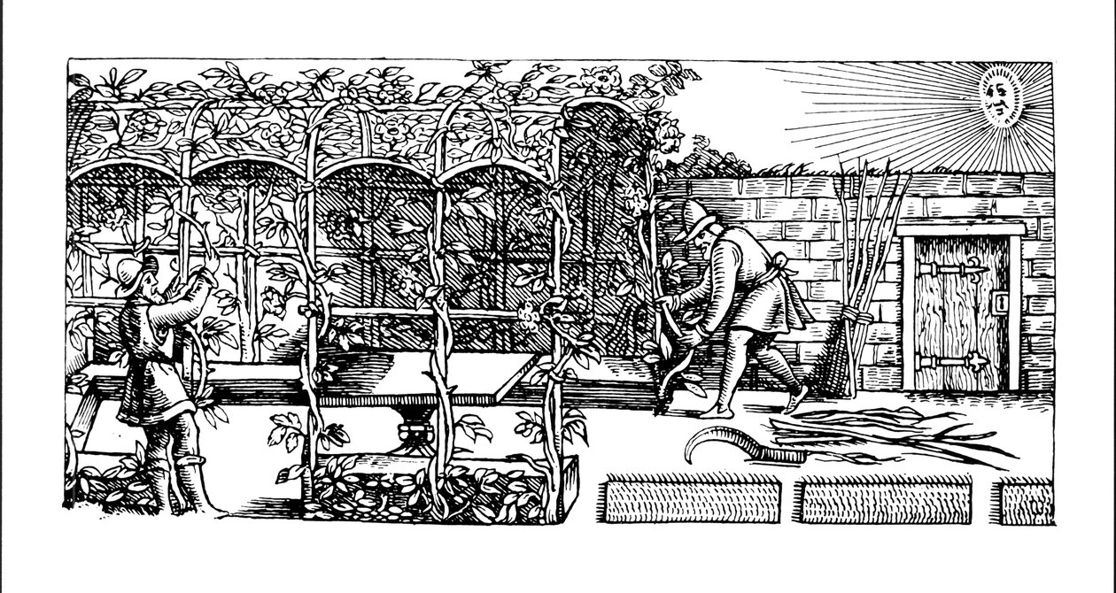 Arbor sendo construído como uma sombra contra o sol, de &39;The Gardener&39;s Labyrinth&39;, 1586 de Thomas Hill