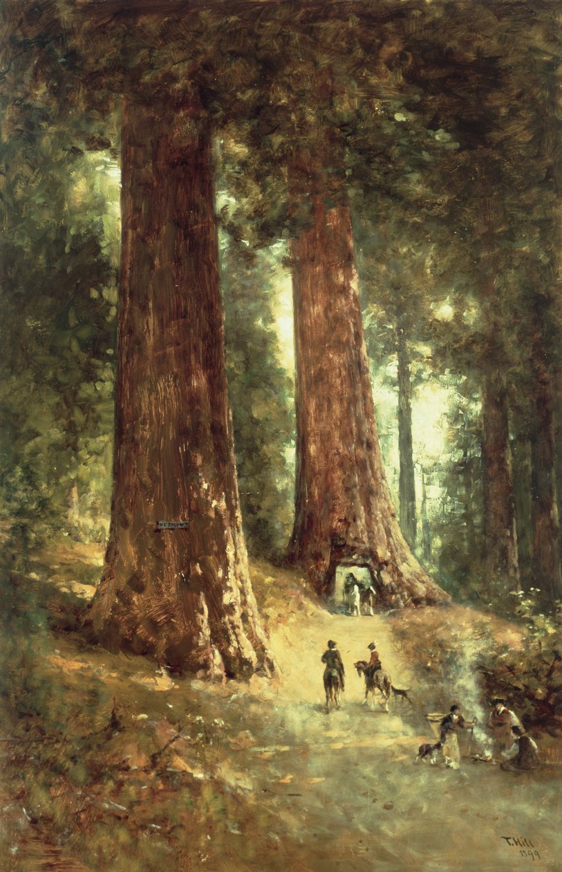 Nos Redwoods, 1899 de Thomas Hill