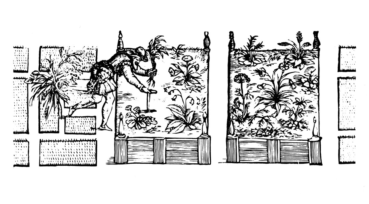 Plantando em canteiros elevados, de &39;The Gardener&39;s Labyrinth&39;, 1586 de Thomas Hill