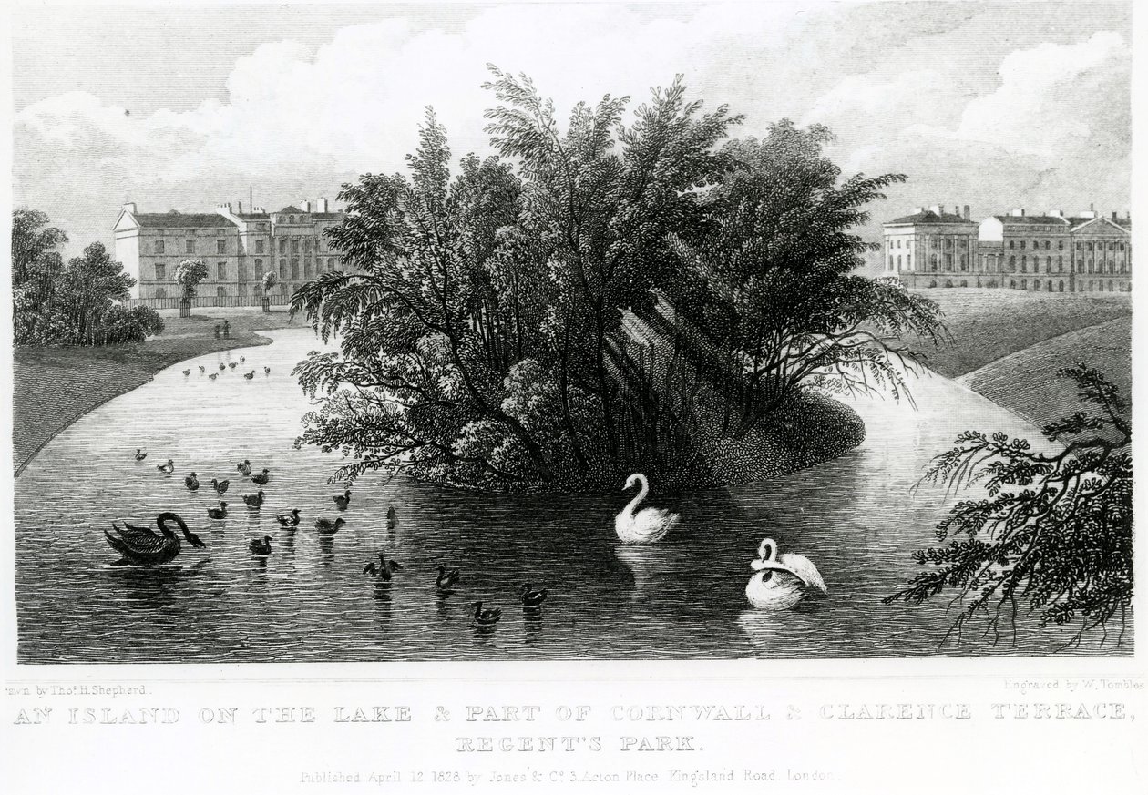 Uma ilha no lago e parte da Cornualha e Clarence Terrace, Regent&39;s Park de Thomas Hosmer Shepherd