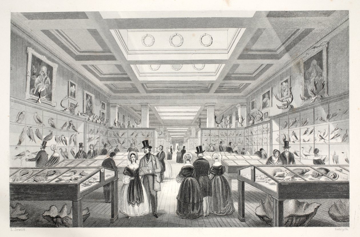 Museu Britânico, Galeria Zoológica, do pub &39;London Interiors with their Costumes and Ceremonies&39;. Joseph Mead, Londres, c.1843 (gravura em aço) de Thomas Hosmer Shepherd