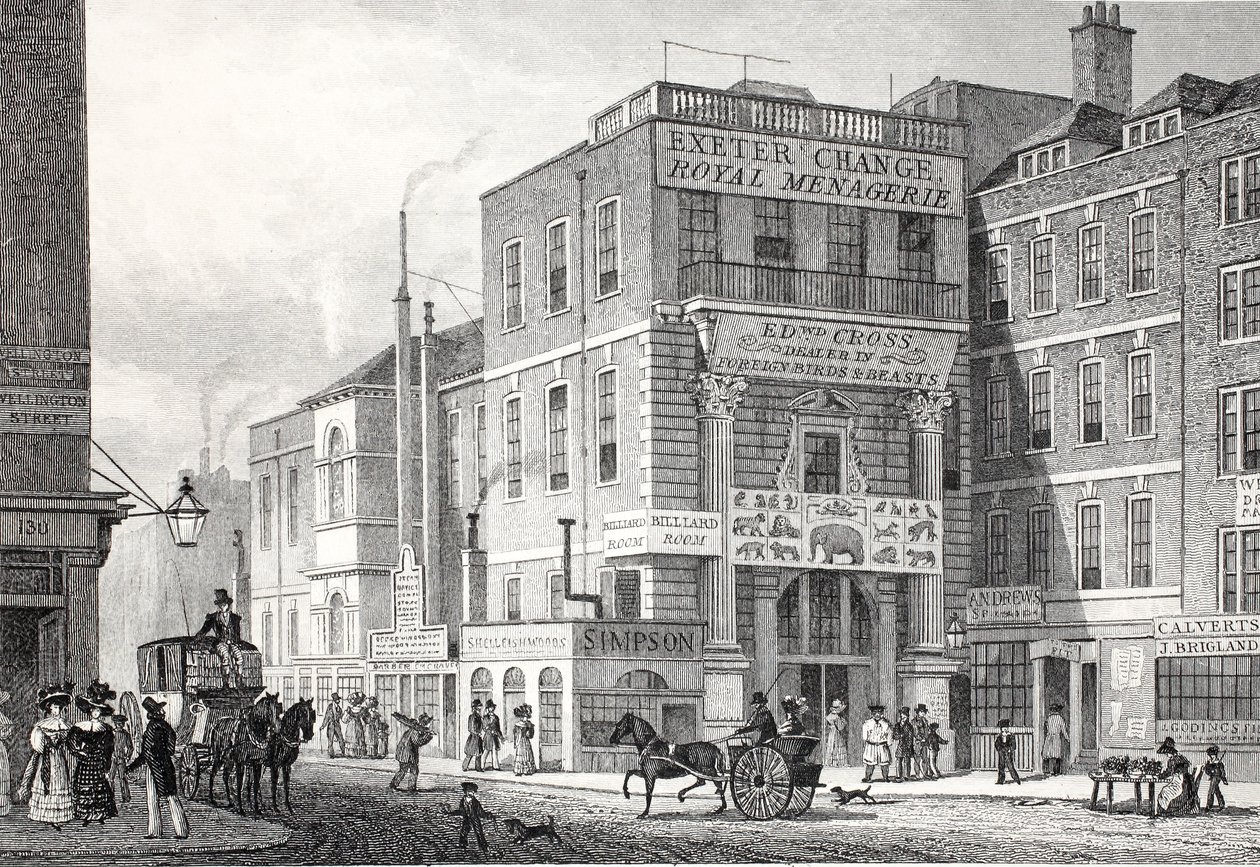 Exeter Change, Strand, do pub "London and its Environs in the 19th Century". Jones und Co., 1827-1829 de Thomas Hosmer Shepherd
