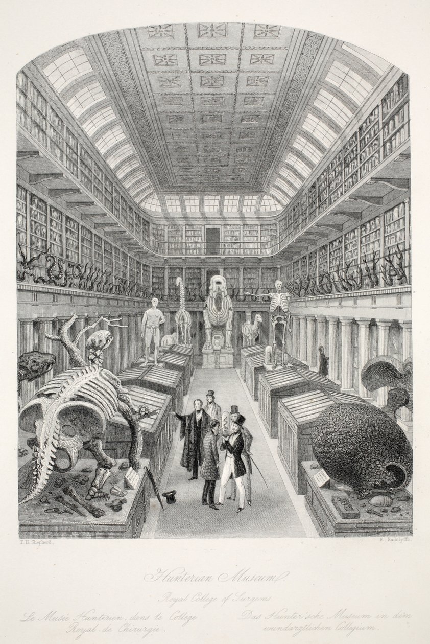 Museu Hunterian, Royal College of Surgeons, do pub "London Interiors with Costumes and Ceremonies". Joseph Mead, Londres, c.1843 (gravura em aço) de Thomas Hosmer Shepherd