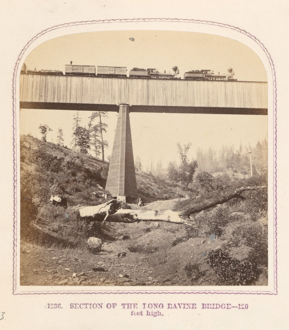 Secção da ponte de Long Ravine de Thomas Houseworth