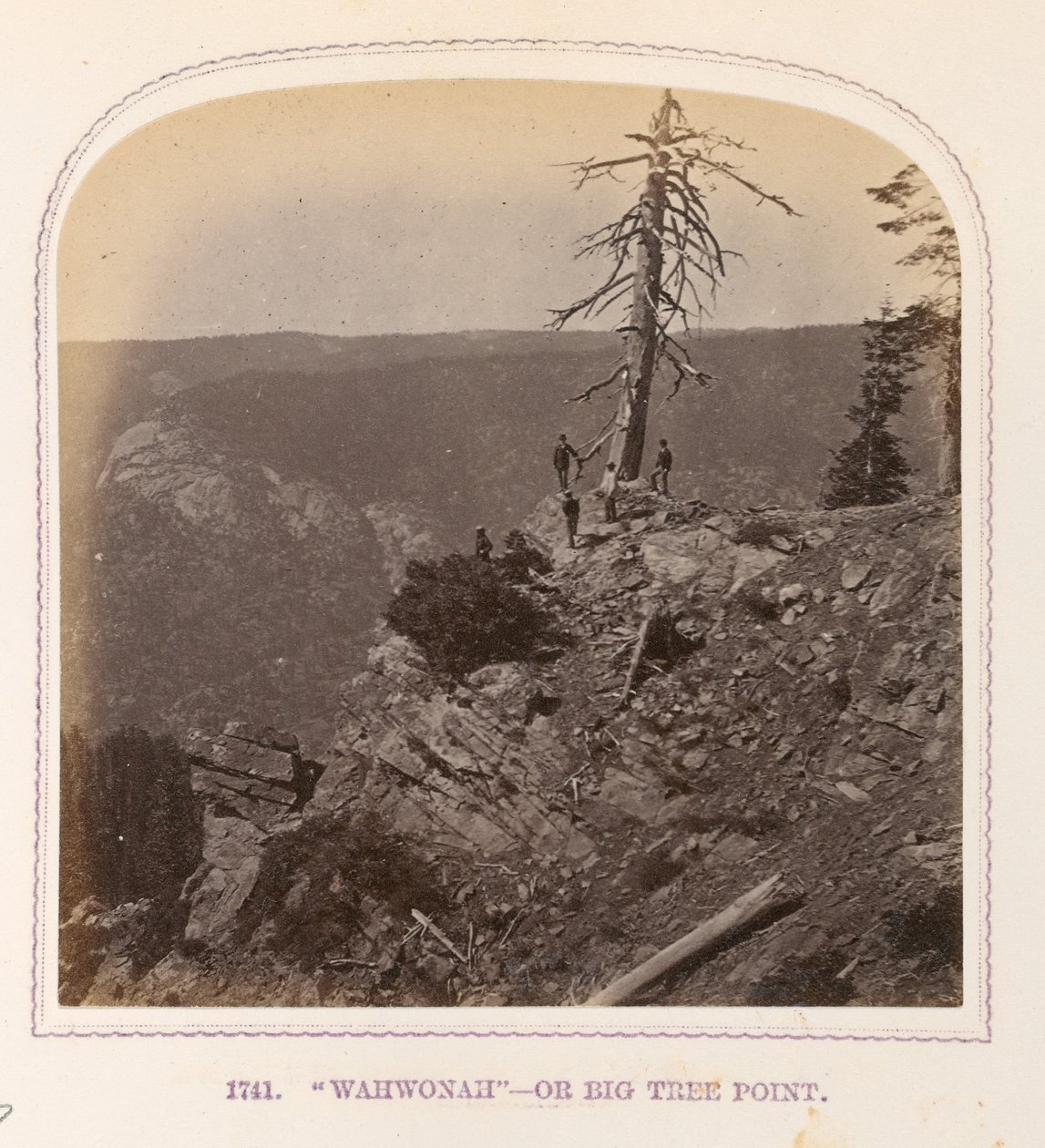 "Wahwonah" - Ou Big Tree Point de Thomas Houseworth