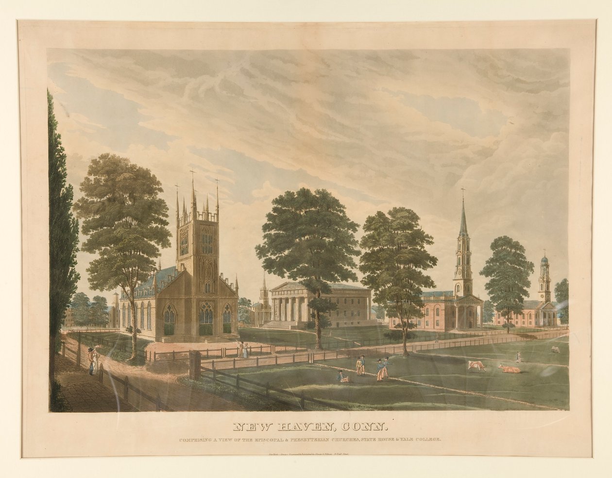 New Haven, Conn. (Stokes 30) de Thomas Illman
