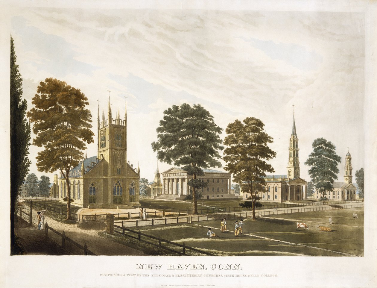 New Haven, Connecticut. Compreendendo uma vista das igrejas episcopais e presbiterianas, State House e Yale College de Thomas Illman