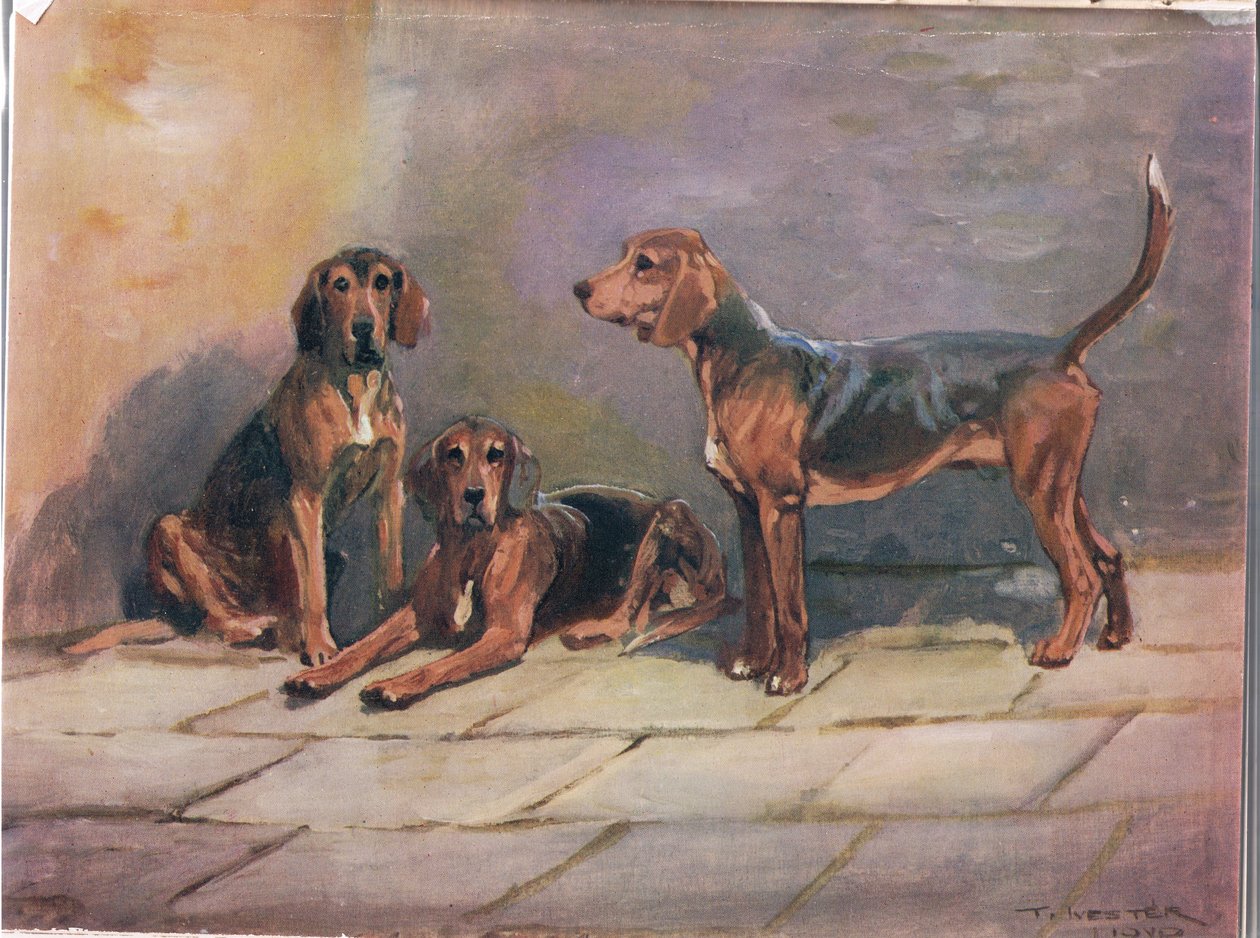 Cães, ilustração de &39;Hounds&39; de Thomas Ivester Lloyd