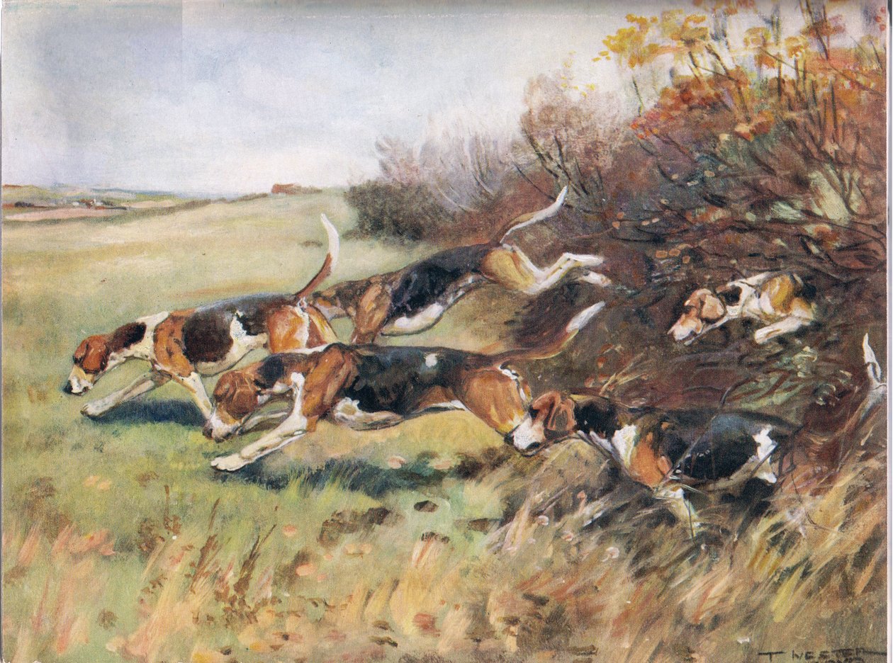 Seguindo o Scent, ilustração de &39;Hounds&39; de Thomas Ivester Lloyd