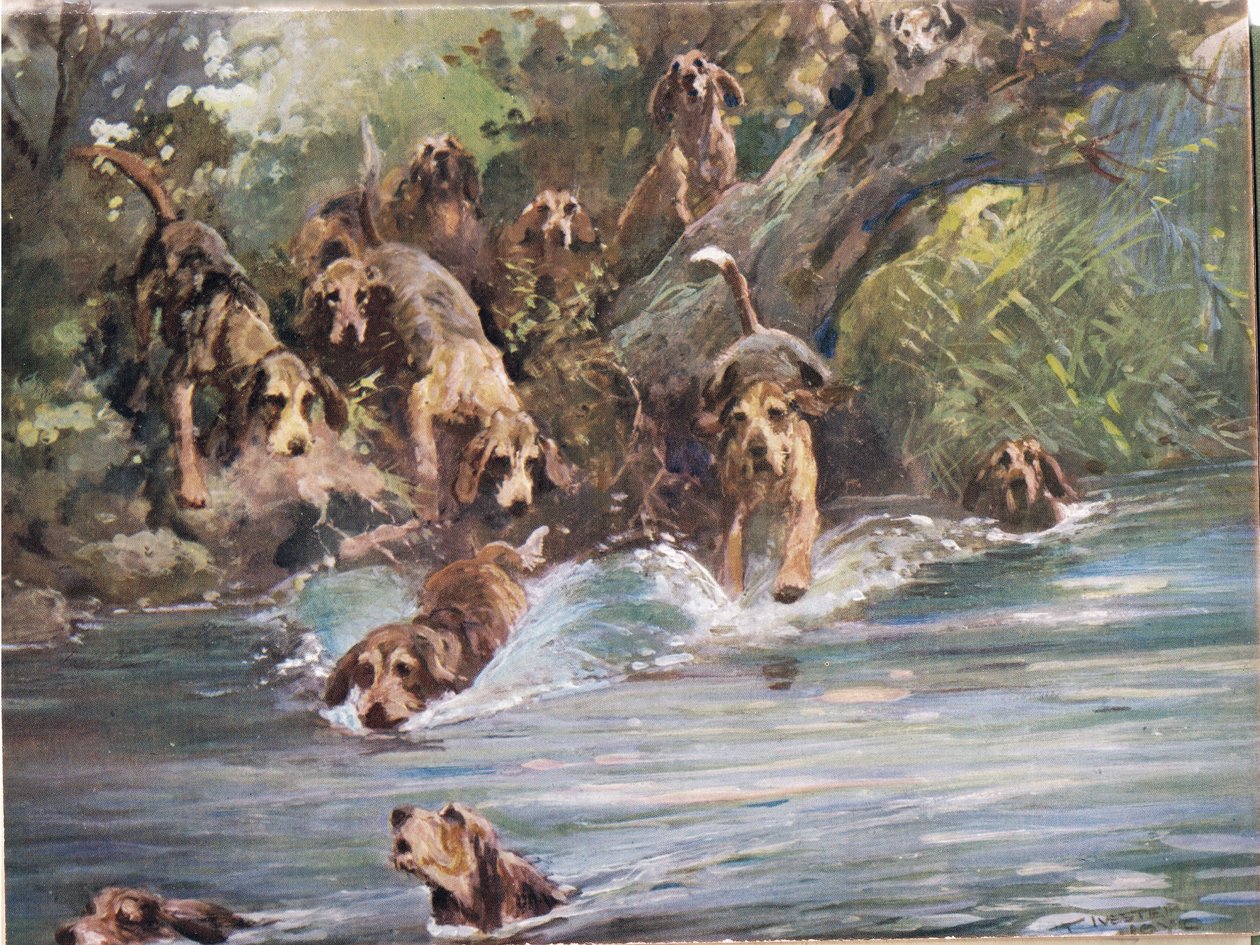 No rio, ilustração de &39;Hounds&39; de Thomas Ivester Lloyd