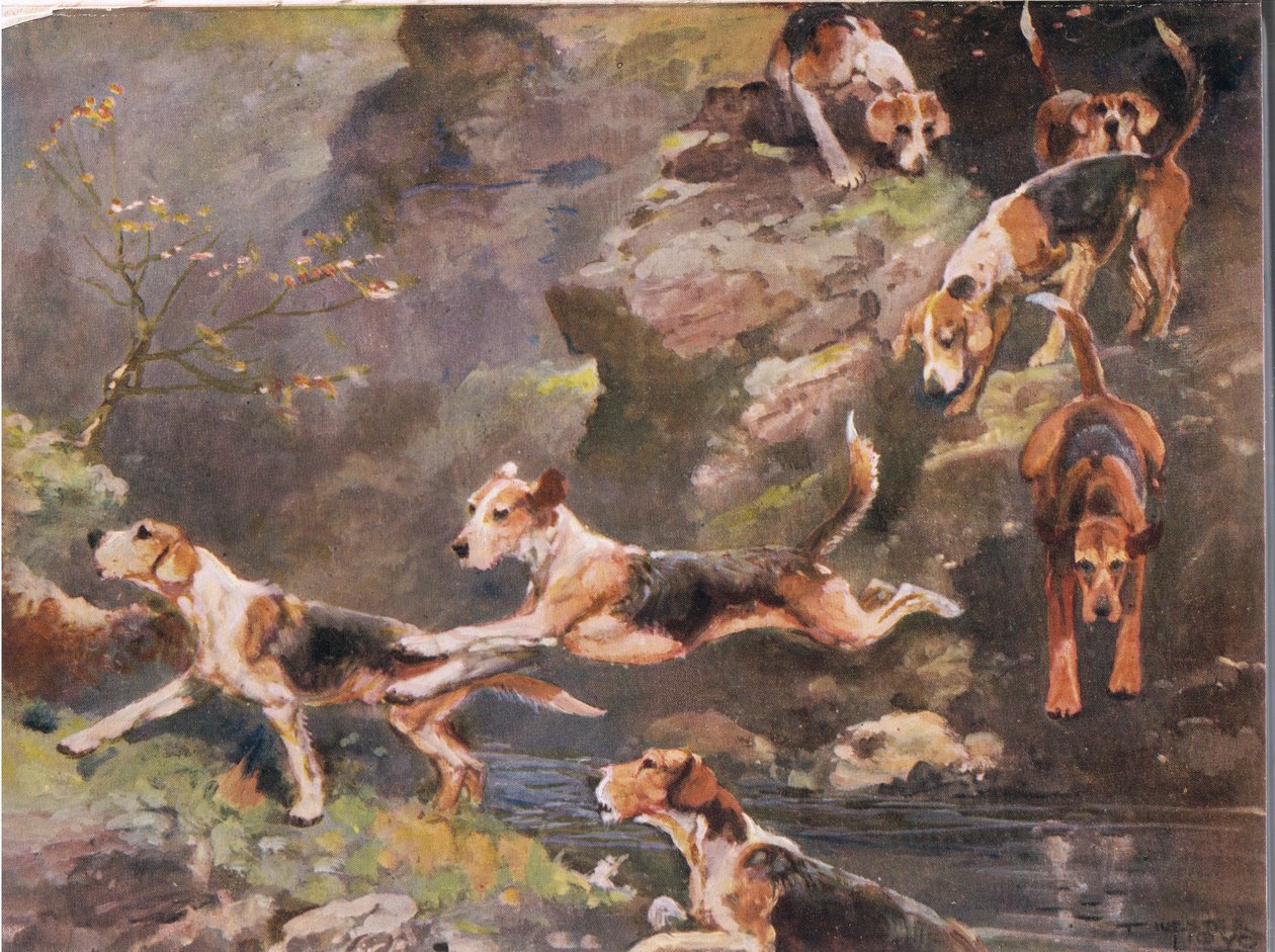 Sobre o rio, ilustração de &39;Hounds&39; de Thomas Ivester Lloyd