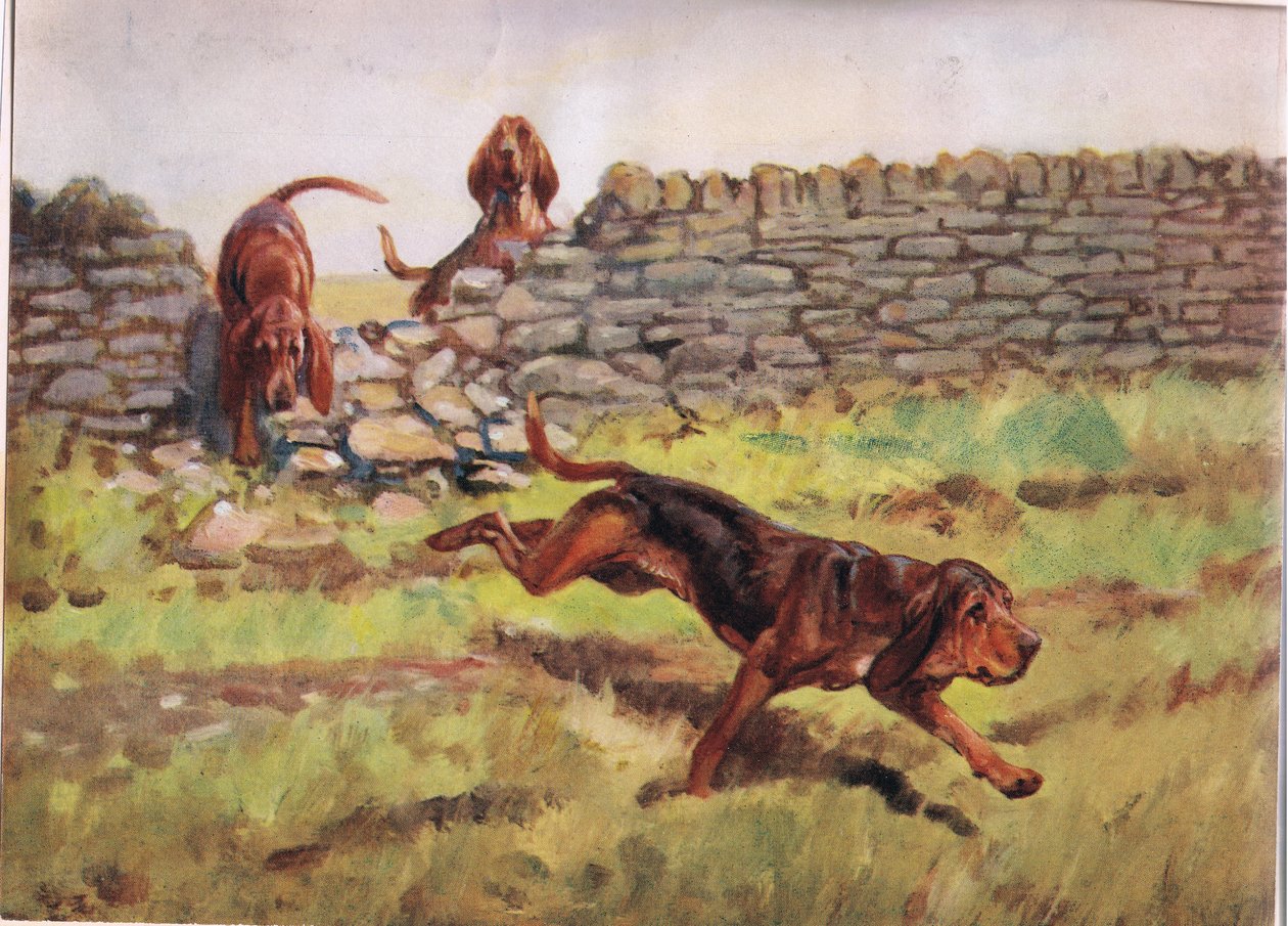 Sobre a parede, ilustração de &39;Hounds&39; de Thomas Ivester Lloyd