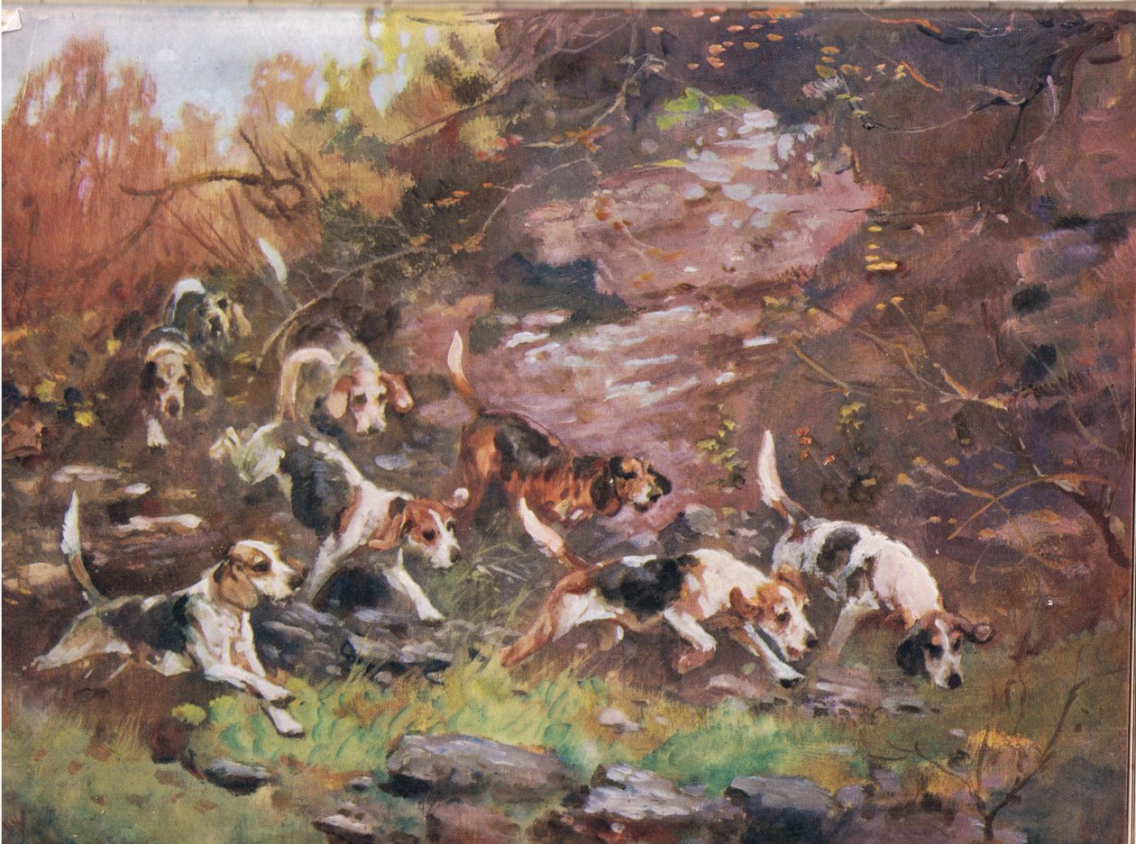 Através do Undergrowth, ilustração de &39;Hounds&39; de Thomas Ivester Lloyd
