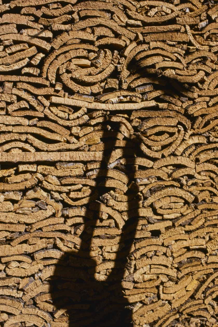 Sombra de um homem a empilhar cortiça para exportação de Marrocos de Thomas J. Abercrombie