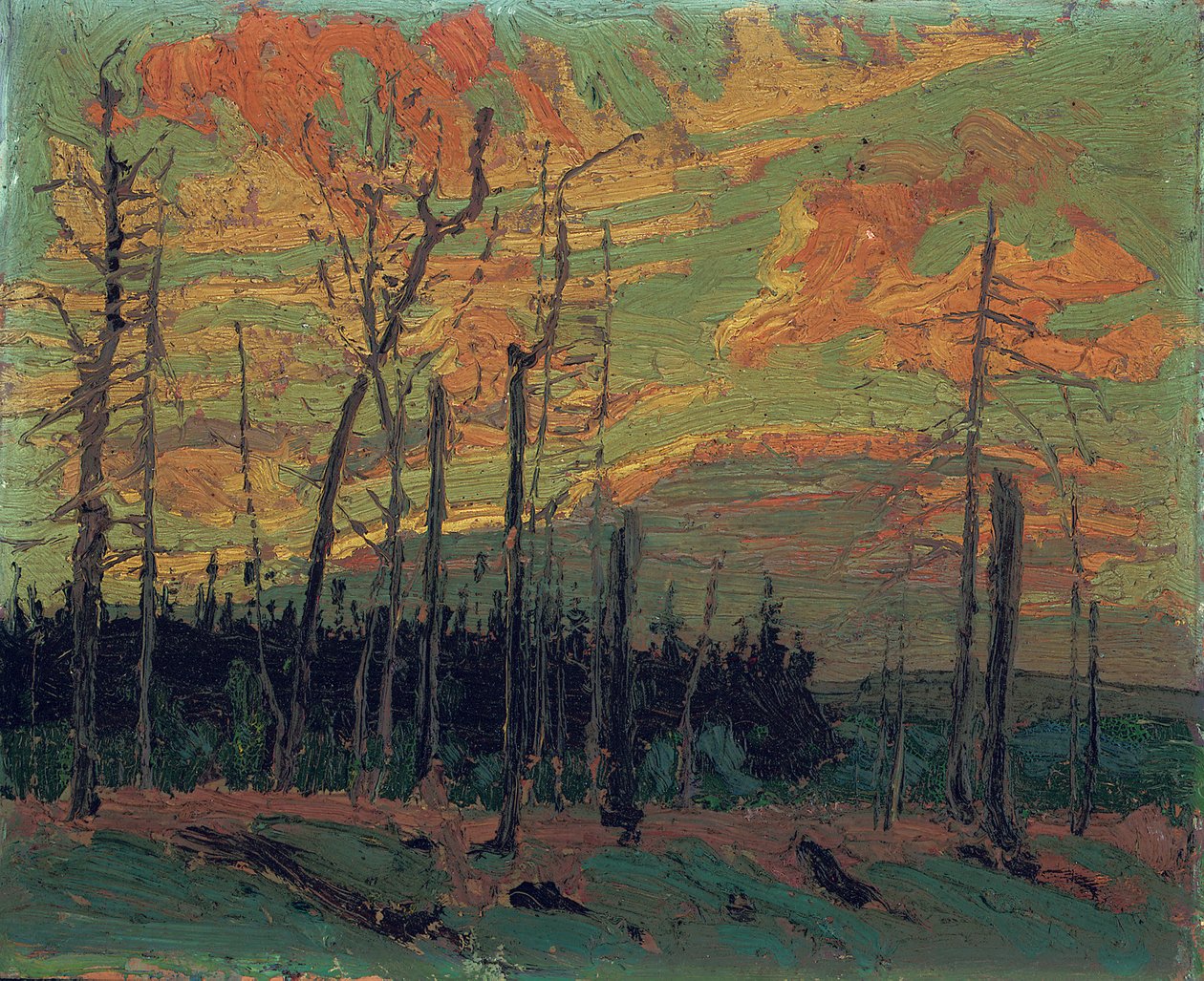 Terra queimada ao pôr do sol, 1915 de Tom Thomson