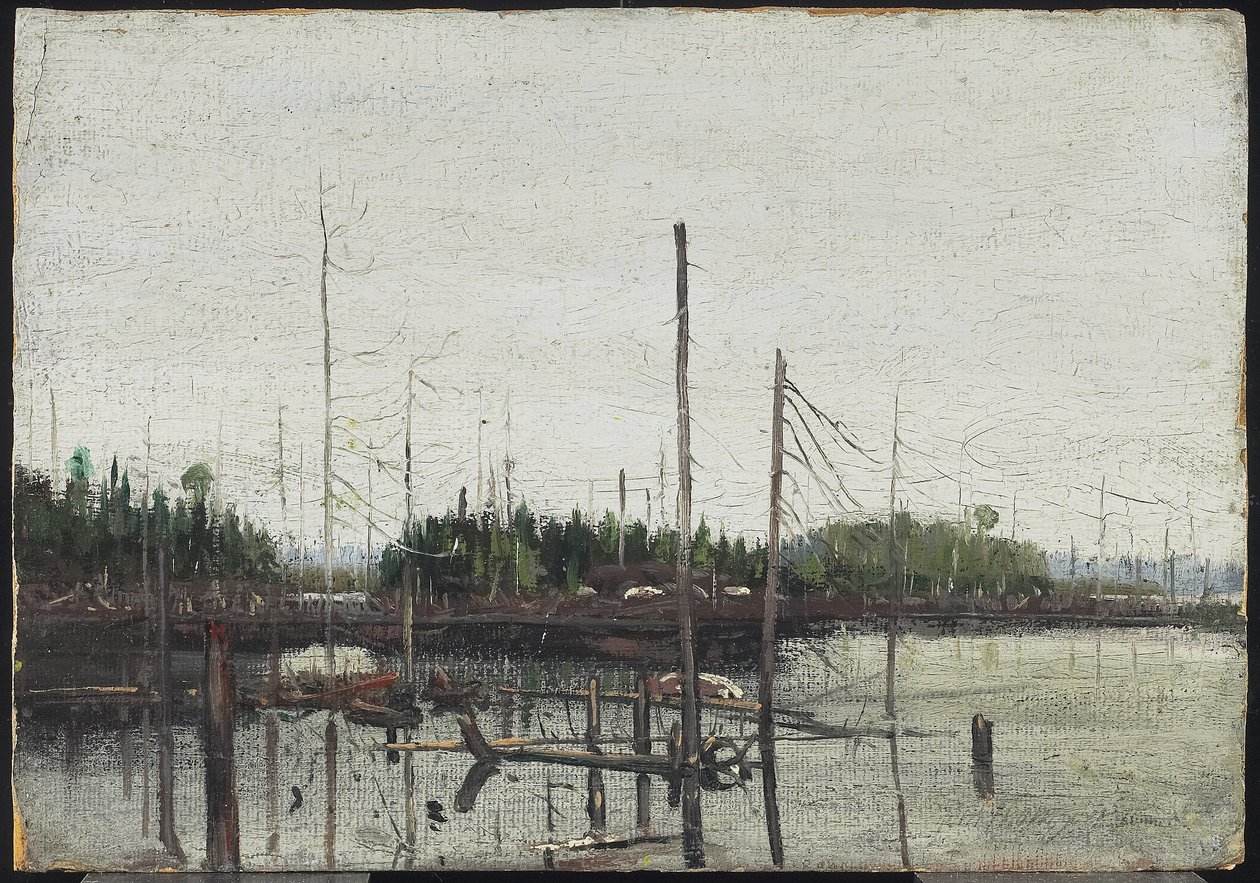 Terra Afogada, 1912 (óleo sobre papel (com textura de tela em relevo) em madeira) de Tom Thomson