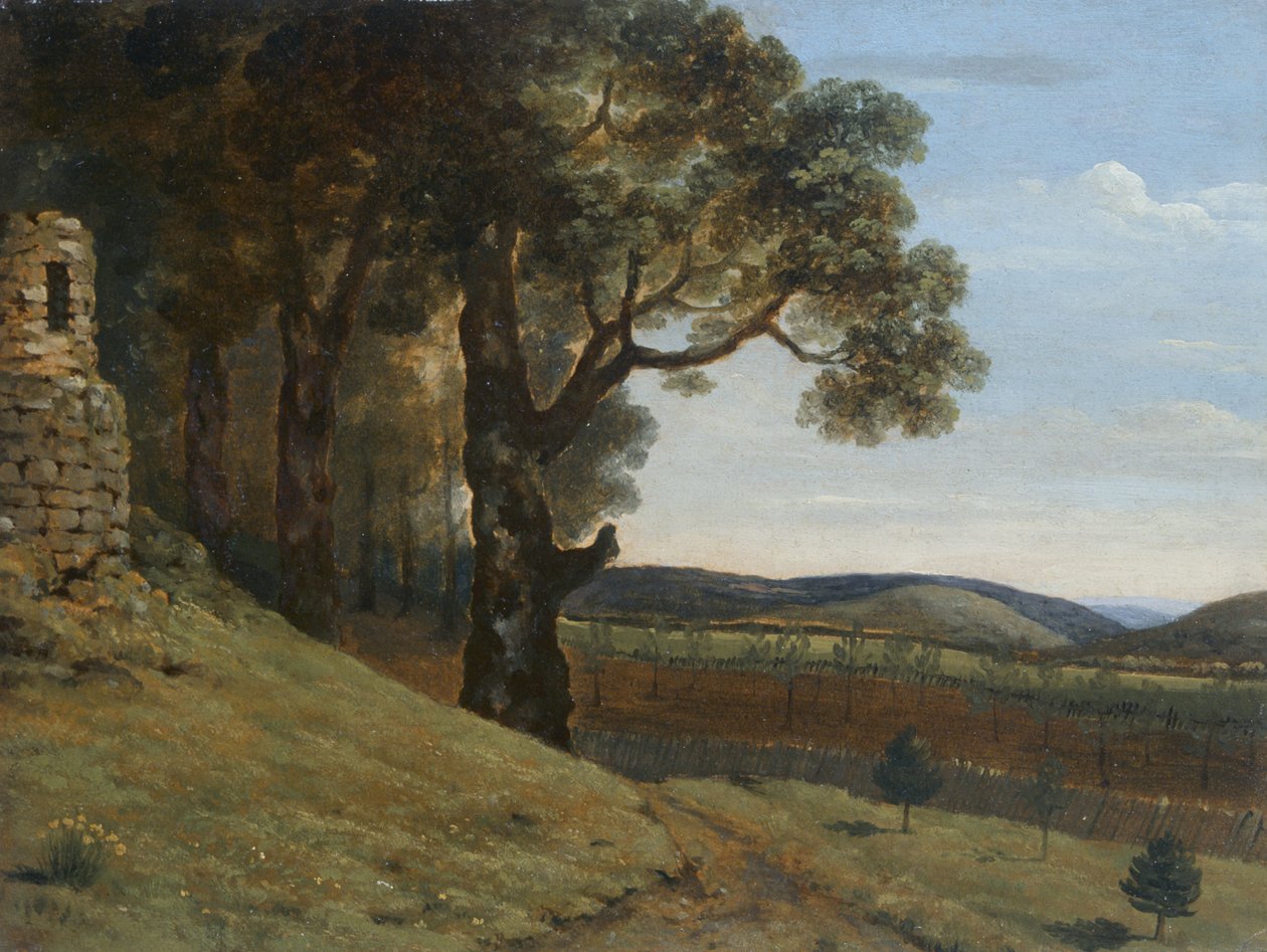 Campo próximo de Pencerrig de Thomas Jones