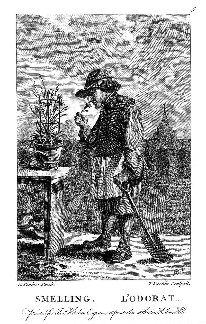 Jardineiro cheirando um cravo ou Dianthus rosa, c1750 de Thomas Kitchin