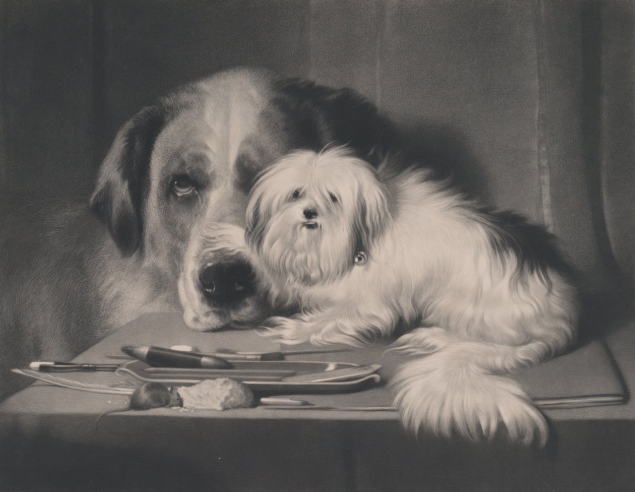O Cão-Leão de Malta - O Último de Sua Tribo, 1844. de Thomas Landseer