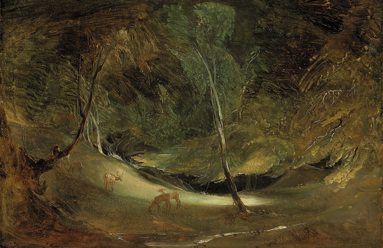 A Fonte do Manifold em Ilam Park (óleo sobre papel, colocado na tela) de Thomas Lawrence