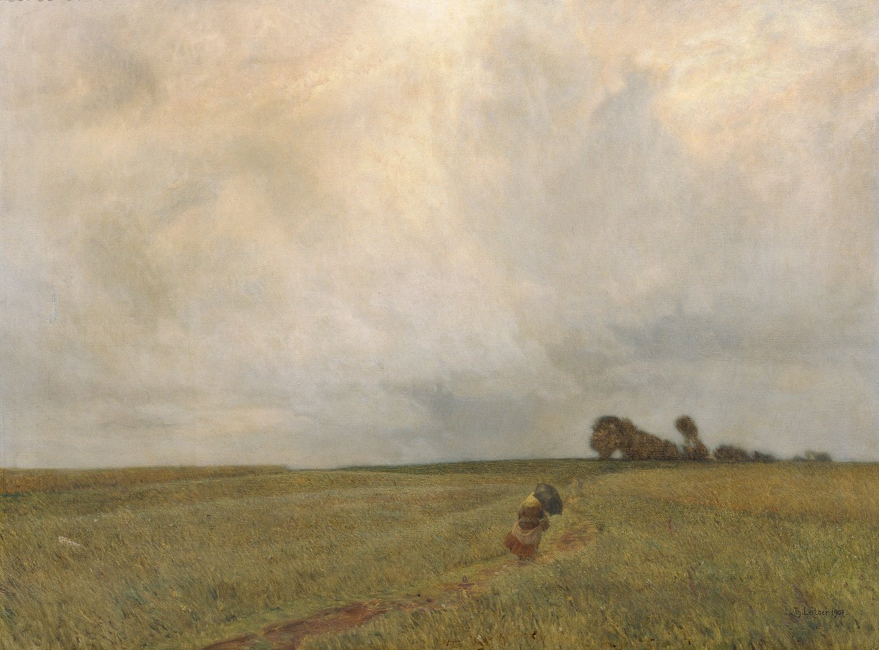 Tempestade e chuva de Thomas Leitner