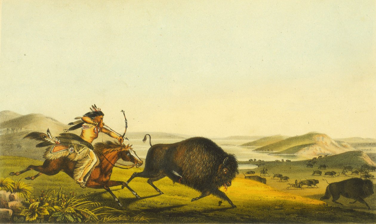 Caçando o búfalo, 1848 (litho colorido à mão) de Thomas Loraine McKenney
