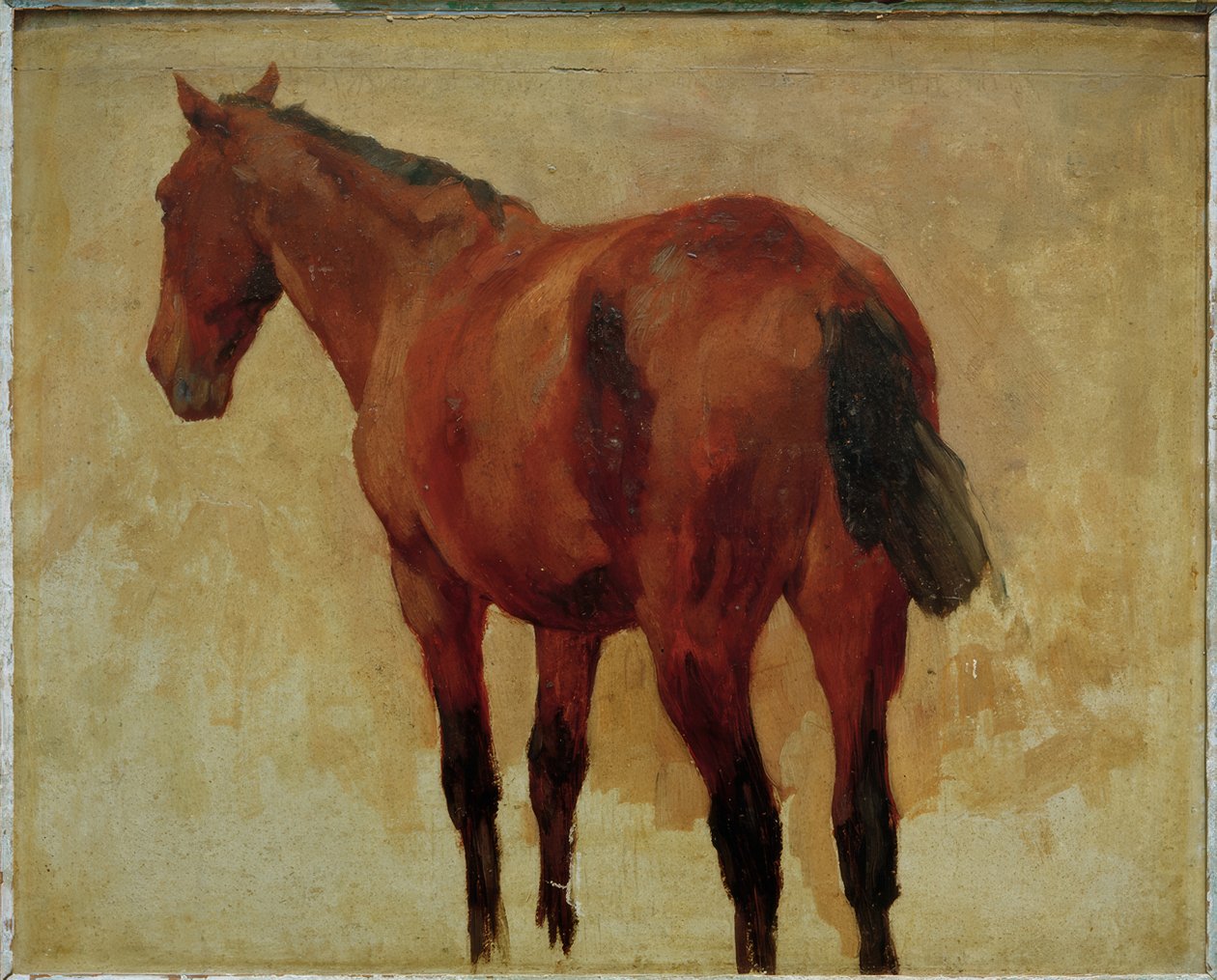 Pferdestudie de Thomas Ludwig Herbst