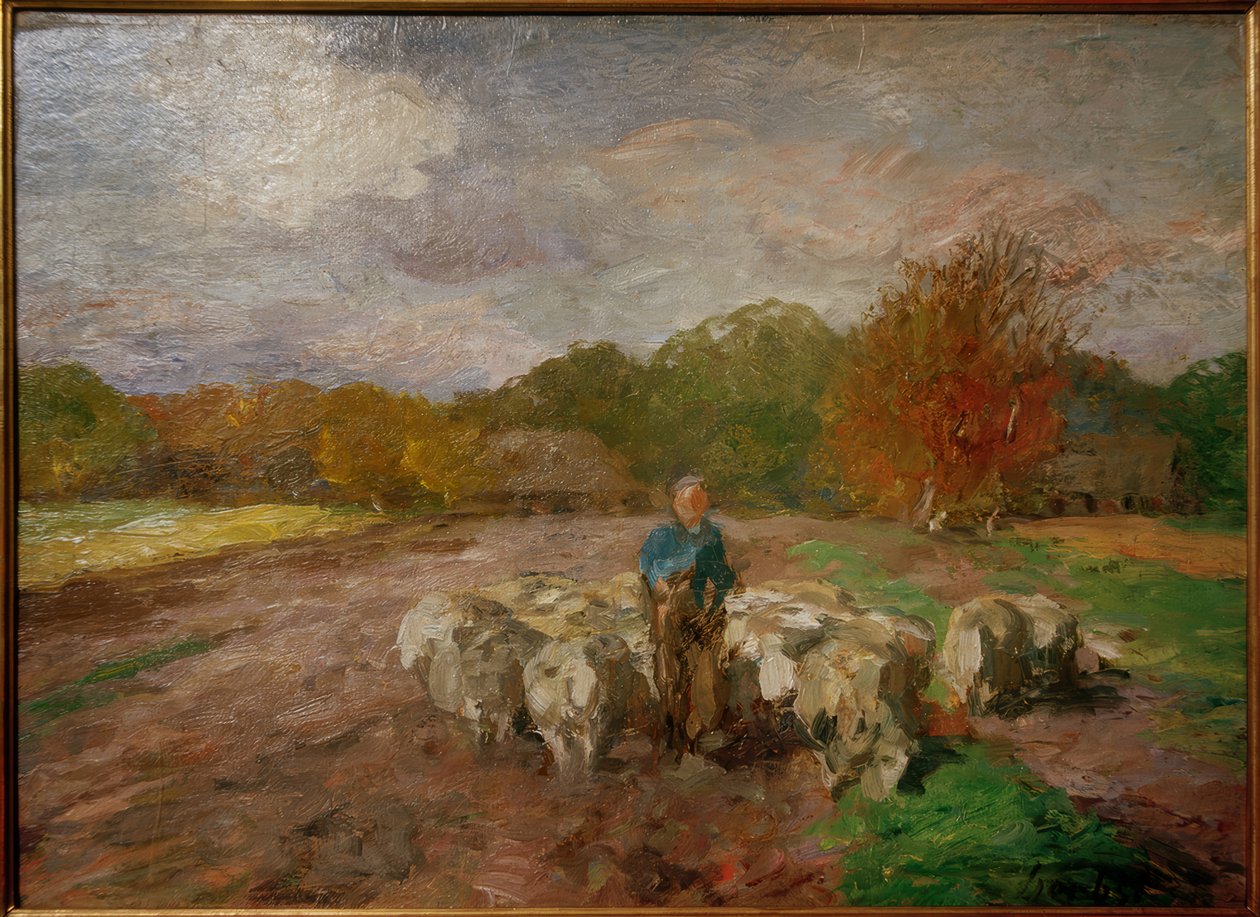 Rebanho de ovelhas à luz do sol de Thomas Ludwig Herbst
