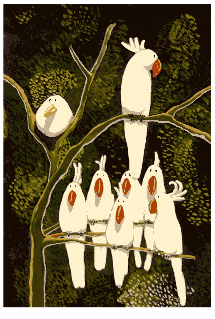 Na terra da cacatua de Thomas MacGregor