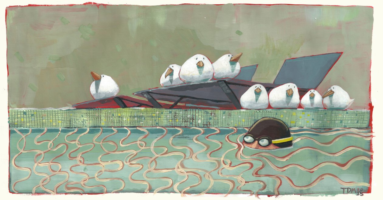 Aves da piscina de Thomas MacGregor