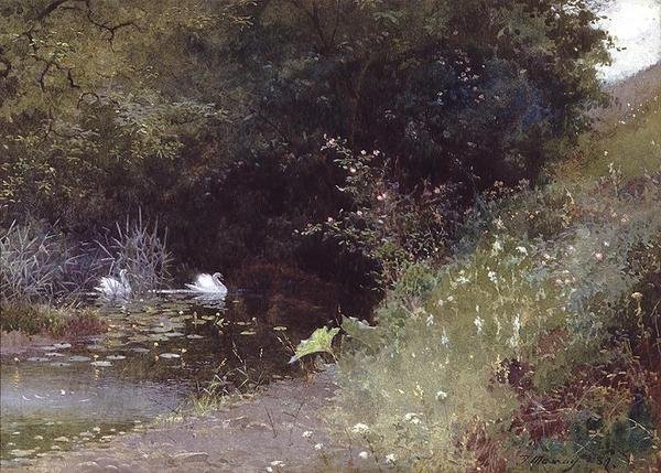 Cisnes em um lago de Thomas Mackay