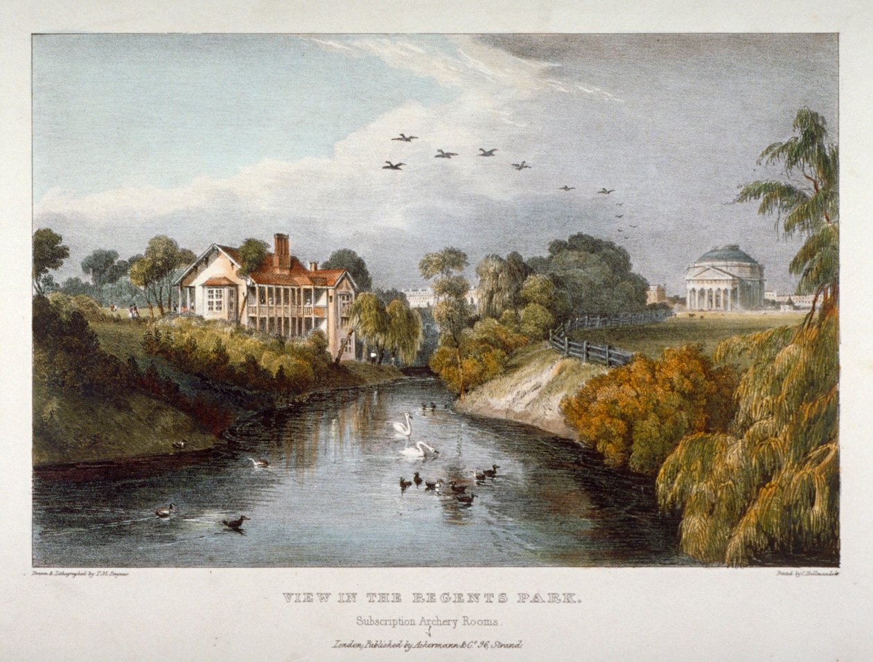 paisagem de Thomas Mann Baynes