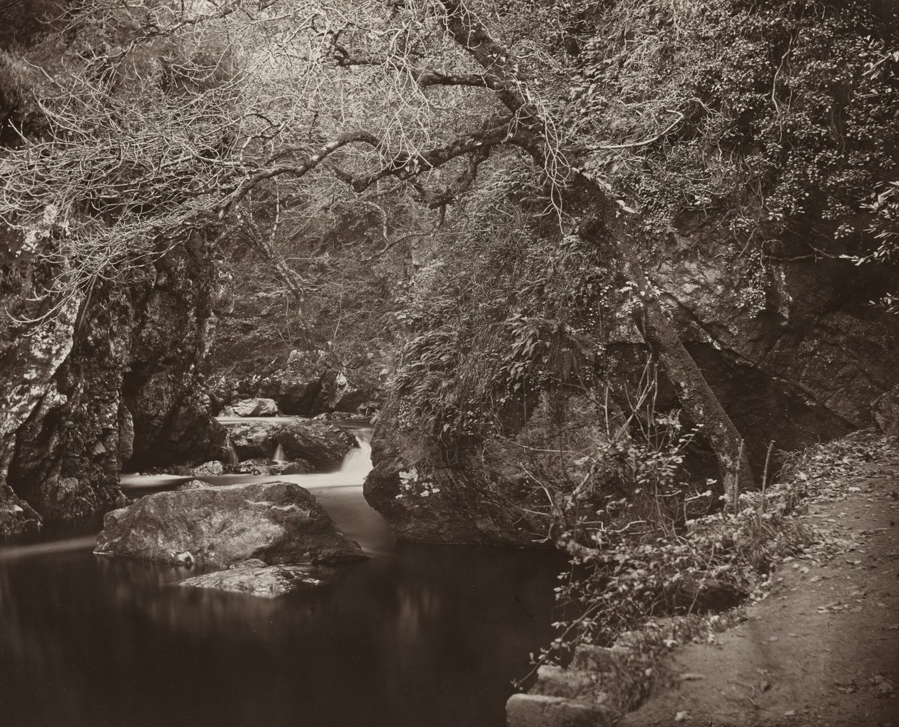 O buraco Dargle, c. 1865. de Thomas Marcus Brownrigg
